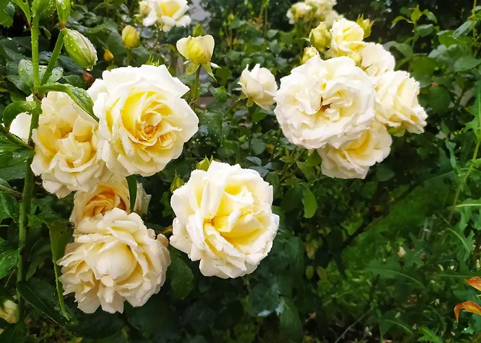 Quarto em Acomodações Particulares Auf Zwei Ebenen